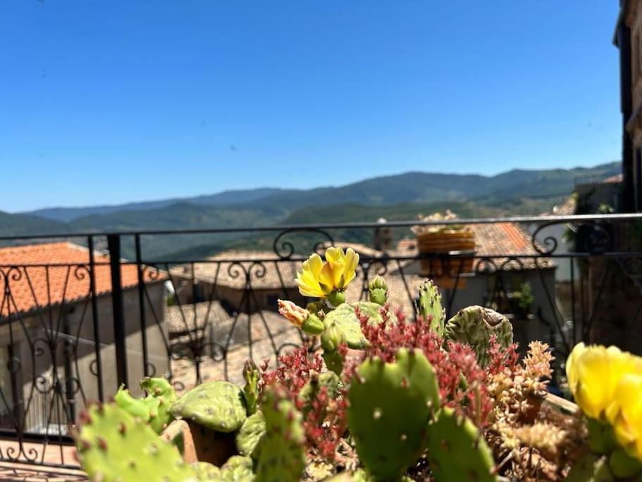 Appartamento La Terrazza Sui Nebrodi Mistretta Esterno foto